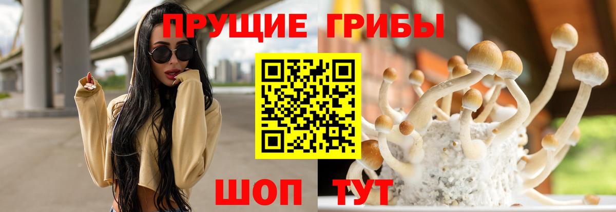 Реутов  Галлюциногенные грибы Magic Shrooms  Вход с VPN 